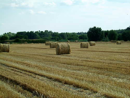 Sznurek HEROS 1000/1000