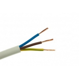 Przew&oacute;d OMY 2x1 300/300V