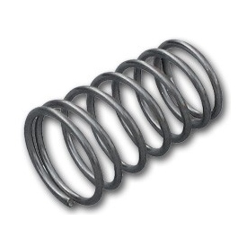 Sprężyna zaworu poidła